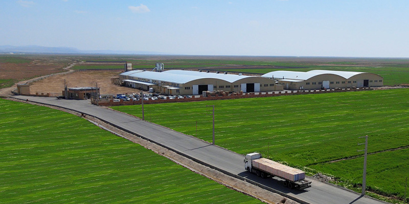 فضای داخلی یک کارخانه مدرن تولید پارکت